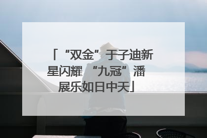 “双金”于子迪新星闪耀 “九冠”潘展乐如日中天